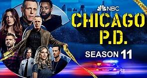 Chicago PS Season 11 Officially Returns This Fall - Release Date