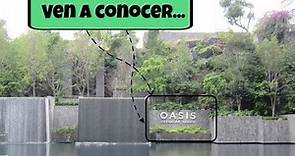 Conoce oasis coyoacan - México