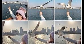 [Patty旅遊]韓國首爾搭乘漢江依戀遊覽船(E-Land Cruise)餵食海鷗秀特別體驗
