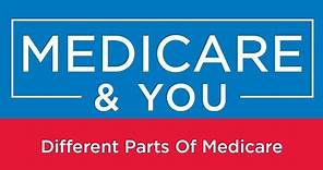 Medicare & You: Different Parts Of Medicare