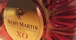 Cognac Review: Rémy Martin XO