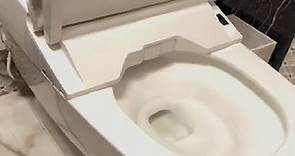 TOTO SW4736AT40#01 WASHLET+ Electronic Bidet Toilet Seat Review, The Best Toilet Seat Bidet