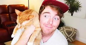 Shane Dawson Denies Disturbing Claim About Cat