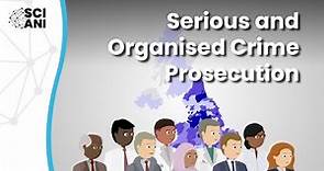 Who is prosecuted for serious and organised crimes, and what happens to them?
