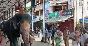 Guruvayur Temple Festival Begins In Kerala With Elephant Race