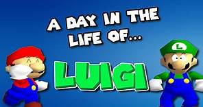 A Day In The Life of LUIGI