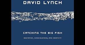 "Catching the Big Fish: Meditation, Consciousness, and Creativity" By David Lynch