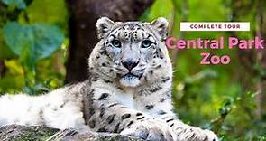 Central Park Zoo New York NYC Complete Tour Uncut #centralparkzoo #nyc #centralpark #zoo #newyork