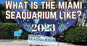 Miami Seaquarium Full Tour & Review & Shows 2023 - What is it like - Things to do in Miami Florida