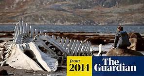 Leviathan review – a compellingly told, stunningly shot drama