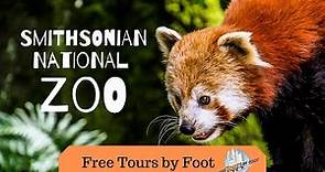 Take a National Zoo Washington DC Tour