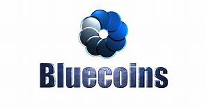 Bluecoins tutorial. Como utilizar la app Bluecoins desde cero y ahorrar más.