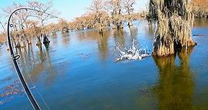 Fishing for GIANTS in World's Largest Cypress Forest | Field Trips Texas