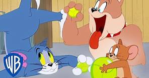 Tom y Jerry en Latino | La pelota de los sueños de Tom | WB Kids