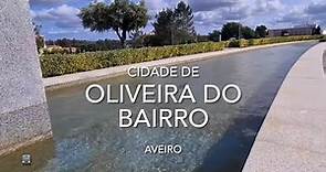 Cidade de Oliveira do Bairro - Aveiro