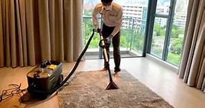 Mountson - Carpet Cleaning & Sanitizing (地毯清潔及消毒)