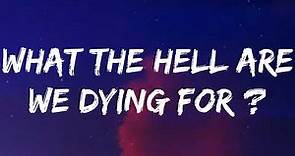 Shawn Mendes - WHAT THE HELL ARE WE DYING FOR? (Lyrics)