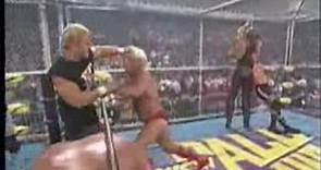 WCW Superstar Series - The Nature Boy Ric Flair 3 6