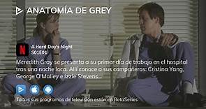 Anatomía de Grey S01E01