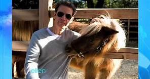 Vance DeGeneres Gets Close with Ellen's Horses