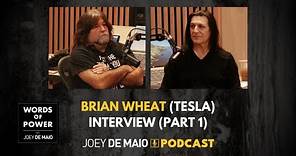 🎸 Shocking: Brian Wheat (Tesla): Why Massive Success Can Ruin Your Career And How I Prevailed