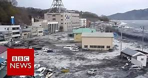Five years since Fukushima - BBC News