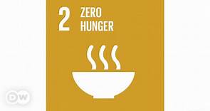 Sustainable Development Goals: Zero Hunger