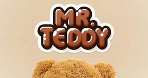Mr. Teddy - a short film by Martin Camacho