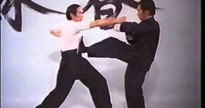 Wing Chun - The Science of InFighting (Wong Shun Leung) LEGENDADO