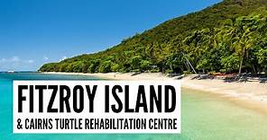 FITZROY ISLAND Day Trip from Cairns, Queensland, Australia | Things to Do in One Day