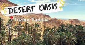 TOZEUR TUNISIA - TOUR OF THE DESERT OASIS توزر‎ (travel vlog 2019)