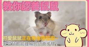 【愛鼠協會小短片】教你如何認養鼠鼠! 可愛鼠鼠正在等你帶回家~ 連天竺鼠都能理解的認養步驟教學!(舊認養流程)