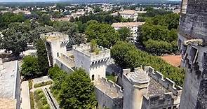 Tarascon en Provence et son château HD