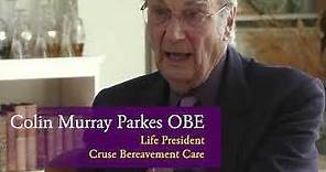 Colin Murray Parkes - 9/11 (1:1)