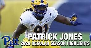 Patrick Jones II 2020 Regular Season Highlights | Pittsburgh DL