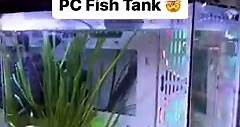 PC Fish Tank 🤯 | Aquarium Info