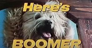 NBC Network - Here's Boomer - "George and Emma" - WMAQ Channel 5 (Complete Broadcast, 5/2/1980) 📺