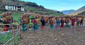 The Determined Lifestyle of Hardworking Nepali Mountain Villagers || IamSuman