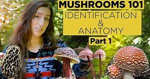 Mushrooms 101: Identification and Anatomy - Part 1