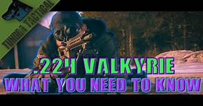 224 Valkyrie: Everything You Need to Know (long range ar-15)