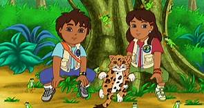 Watch Go, Diego, Go! Season 1 Episode 1: Go, Diego, Go! - Rescue the Red-eyed Tree Frogs! – Full show on Paramount Plus