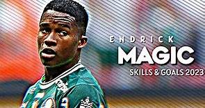 Endrick • Palmeiras • New Skills & Goals 2023