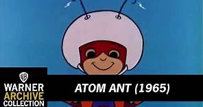 Theme Song with Lyrics | Atom Ant | Warner Archive
