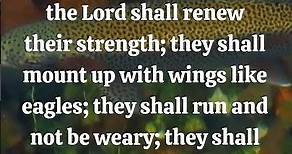 "But they who wait for the Lord shall renew their strength; they shall mount...;" Isaiah 40:31 (ESV)