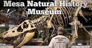 Museum of Natural History/Mesa Arizona