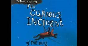 The Curious Incident of the Dog in the Night-Time by Mark Haddon Audiobook