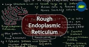 The Rough Endoplasmic Reticulum | Structure | Function | Cell Biology | Basic Science Series