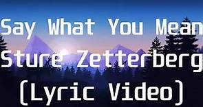 Sture Zetterberg - Say What You Mean(Lyric Video)
