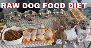 Raw Dog Food Diet for Pitbulls and Bully’s (how to get started)