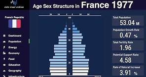 France - Changing of Population Pyramid & Demographics (1950-2100)